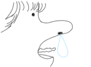 빵빵가시나무 Profile
